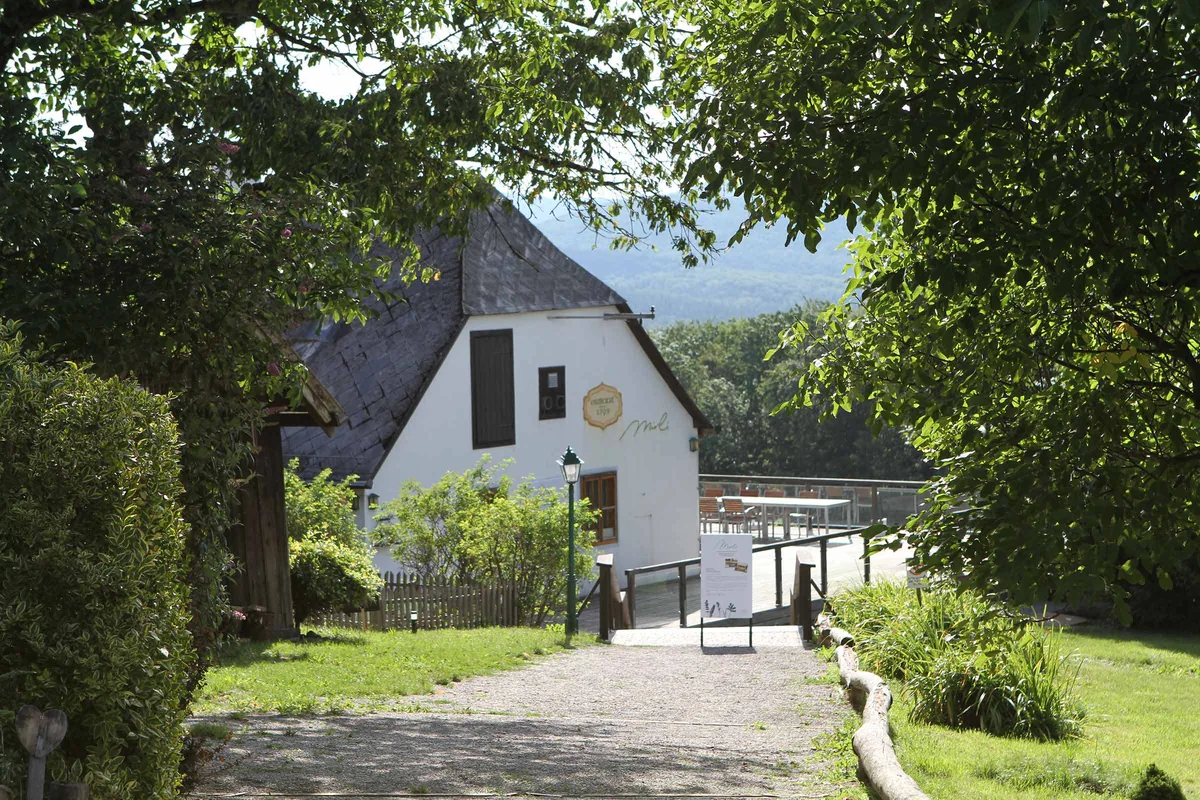 Das Mirli-Haus am Waldrand in Tullnerbach